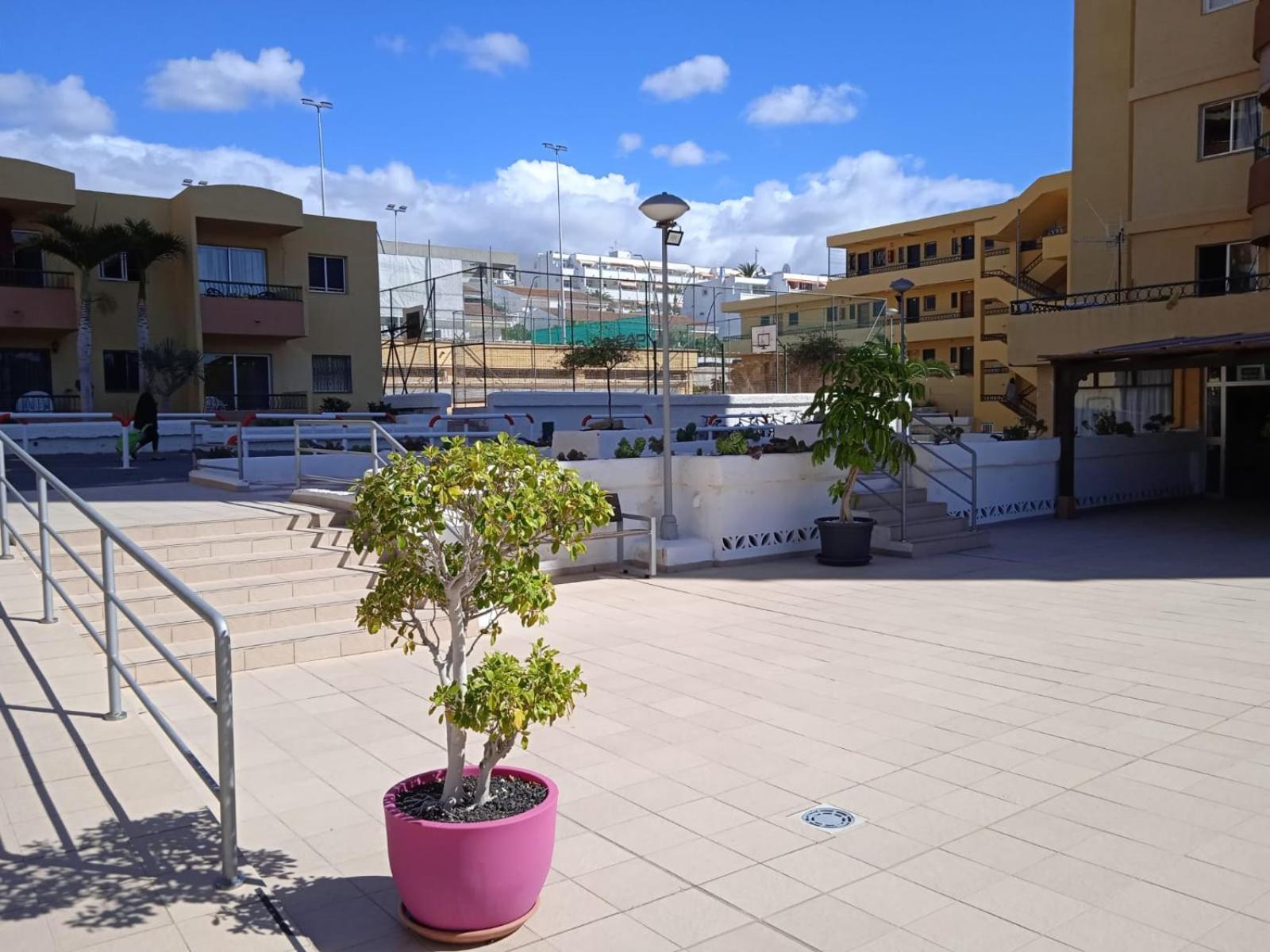 Firstline Apartment Los Cristianos Арона Екстериор снимка